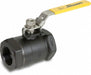Manual 2-Way Ball Valve NPT Carbon Steel