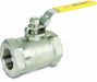 Manual 2-Way Ball Valve NPT SS