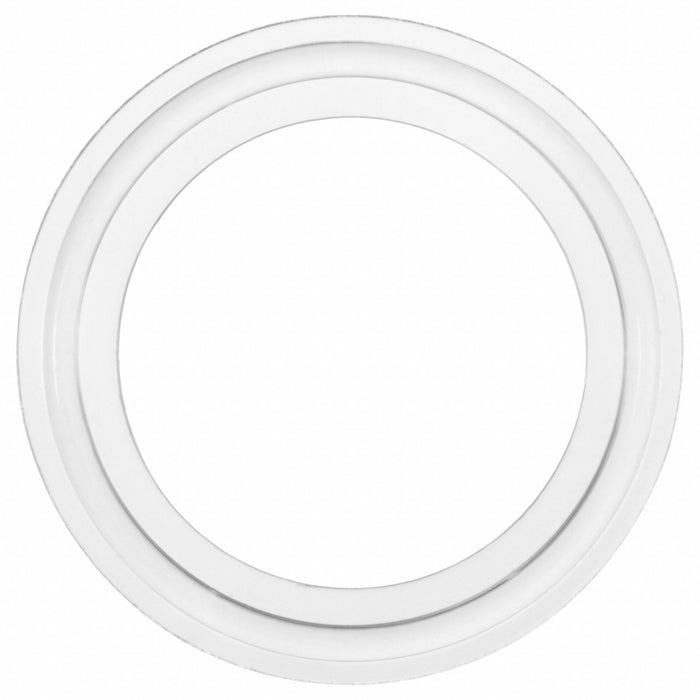 Sanitary Gasket Clear 0.2 in Thickness