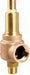 Safety Relief Valve 3/4 x 1 225 psi