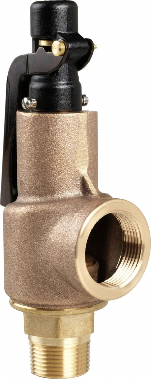 D4512 Safety Relief Valve 3/4 x 1 In 15 psi