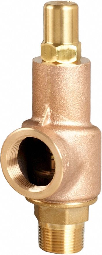 D4518 Safety Relief Valve 3/4 x 1 In 125 psi