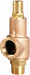 Safety Relief Valve 1 x 1-1/4 In 100 psi