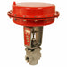 Globe Control Valve SS FNPT 1 Pipe Sz