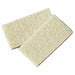 Cleaning Pads Standard PK10