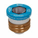 Plug Fuse T Series 6-1/4A PK4