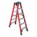 T6306 - 6 FG TWIN STEPLDR TYPE IA