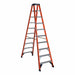 T6310 - 10 FG TWIN STEPLDR IA