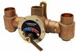 Checkstop Valve 2 in Outlet 2 in Inlet