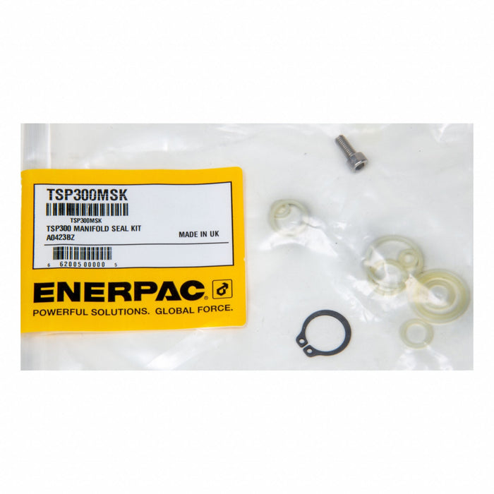 MANIFOLD SEAL KIT