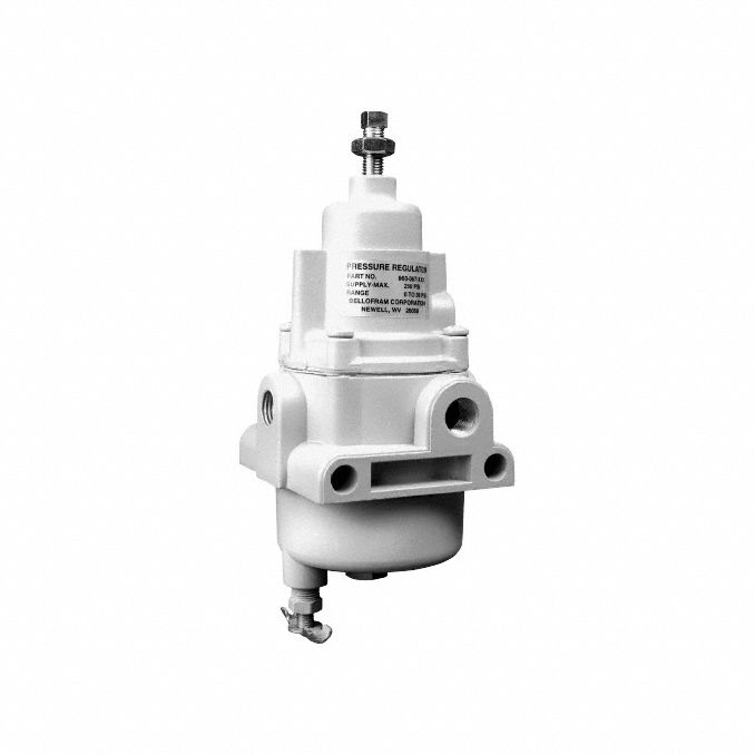 Filter Regulator 250 psig