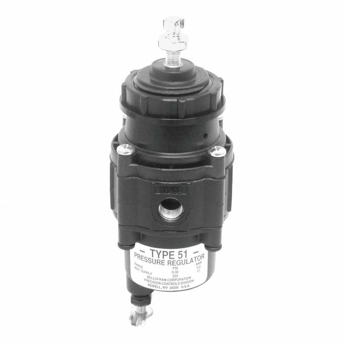 Filter Regulator 250 psig