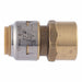 Strt Brass Push-Fit1/2in FNPT1/2in