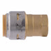 Strt Brass Push-Fit3/4in FNPT3/4in