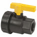 Manual 2-Way Ball Valve NPT Polypro