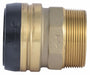 Strt Brass Push-Fit 2 in MNPT 2 in