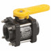 Manual 2-Way Ball Valve NPT Polypro