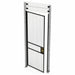 Swing Door