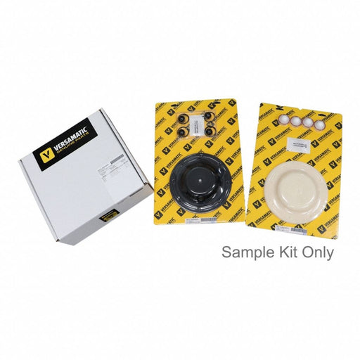 AODD Pump Wet Kit PTFE Santoprene 1 