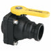 Manual 2-Way Ball Valve NPT Polypro
