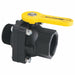 Manual 2-Way Ball Valve NPT Polypro