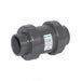 Check Valve 10.6875 in Overall L