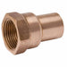 Straight Copper FTG 1 in FNPT 1 in