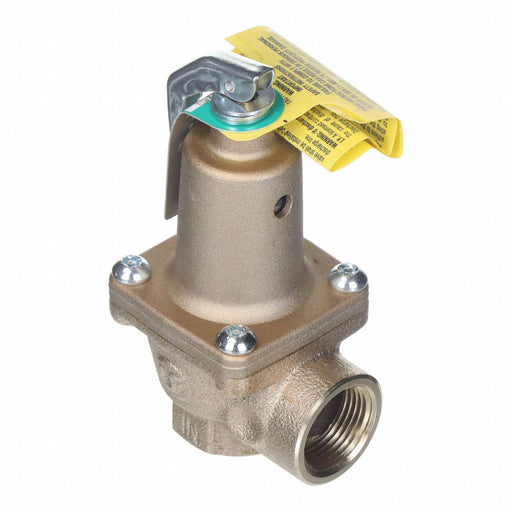 Pressure Relief Valve 100 psi