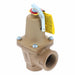 Boiler Pressure Relief Valve Iron 30 psi