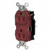 Receptacle 1/2 hp 125V AC NEMA 5-15R