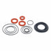 Backflow Preventer Repair Kits