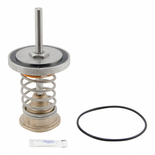 Repair Kit Watts Series 909 4 In