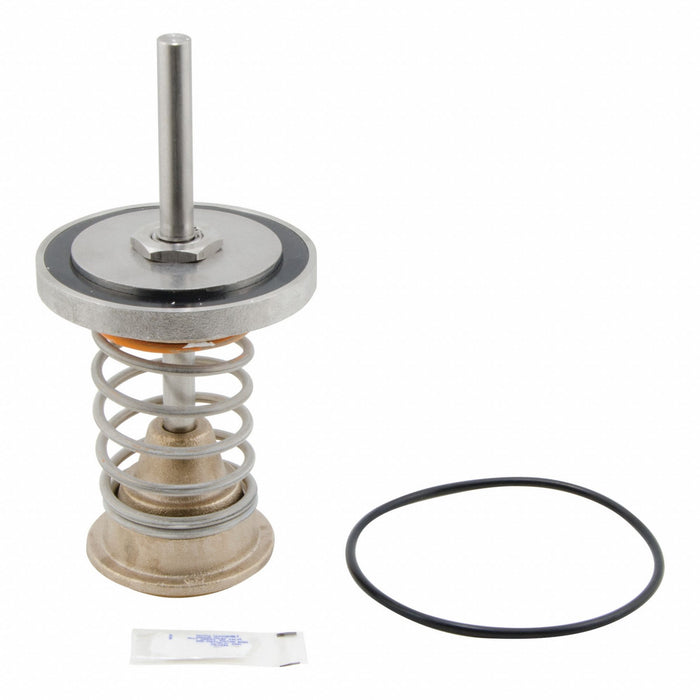 Repair Kit Watts Series 909 4 In