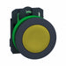 FlushPushButtnOp NonIllum Yellow 1NO