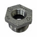 Hex Bushing Cast Iron 2 x 1 in NPT
