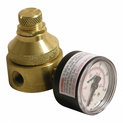 Pressure Regulator 1/4 In 0 to 125 psi