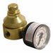 Pressure Regulator 1/4 In 0 to 125 psi