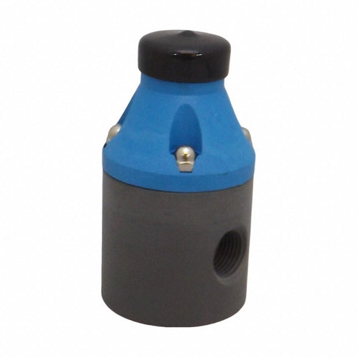 Valve Pressure Relief GPM 15 PVDF
