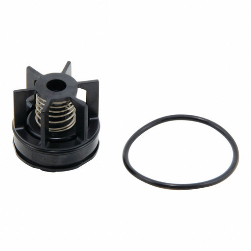 Repair Kit Watts Series 007 M3 3/4 In