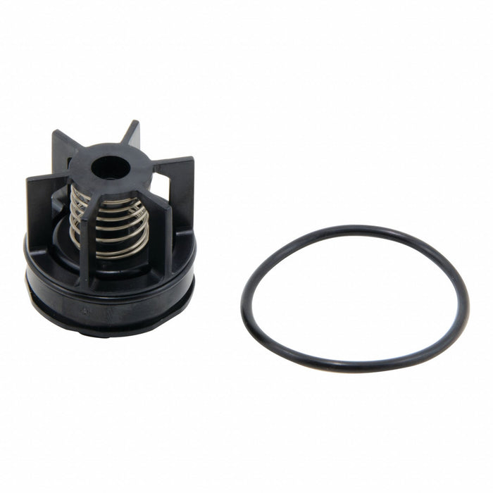 Repair Kit Watts Series 007 M3 3/4 In