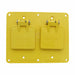 Coverplate Outlet Box Double Gang