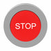 Extended Push Button Red Non-Illum 30mm