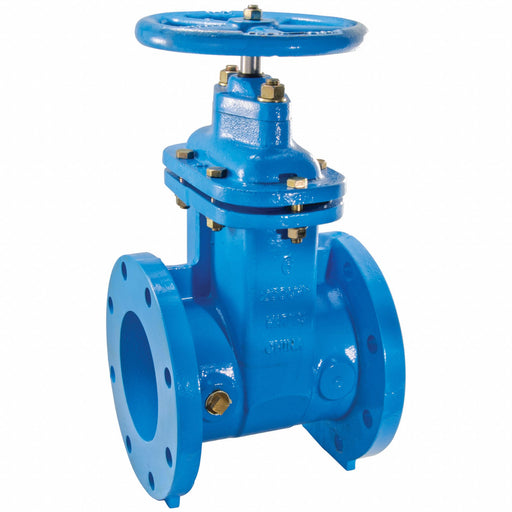 Gate Valve 4 Cast Iron Flange