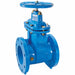 Gate Valve 3 Cast Iron Flange