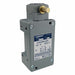 Hazardous Location Limit Switch 1NO/1NC
