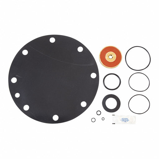 Relief Valve Repair Kit Watts 909 8 In