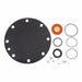 Relief Valve Repair Kit Watts 909 8 In
