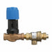 Backflow Preventer Size 1/2 100 psi