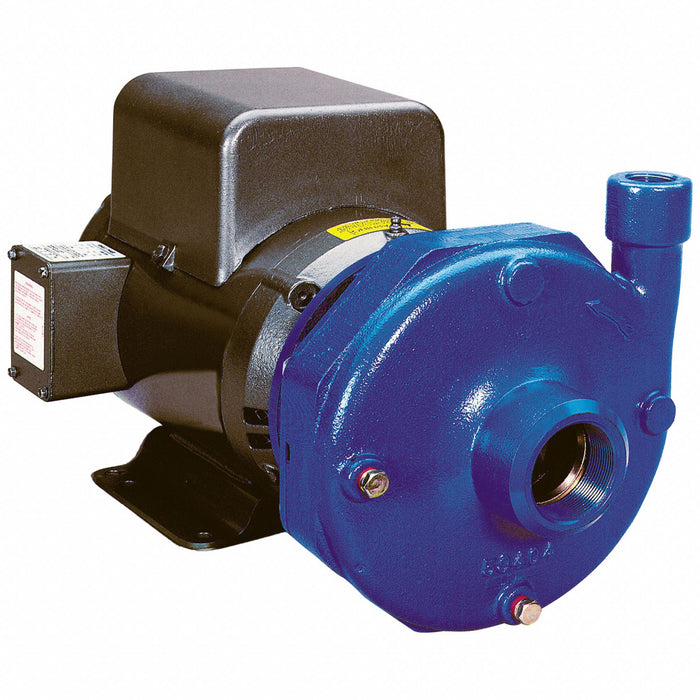 Pump 5 HP 1 Ph 230VAC 150ft MaxHead