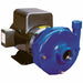 Straight Centrifugal Pump